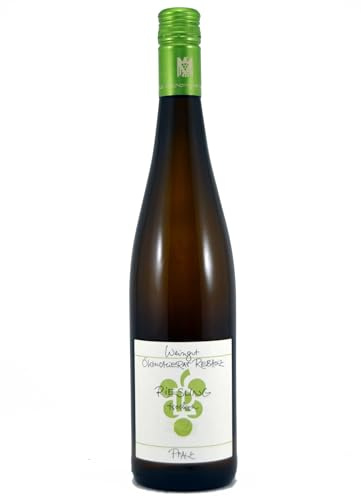 Ökonomierat Rebholz Riesling 2014 trocken (0,75 L Flaschen)