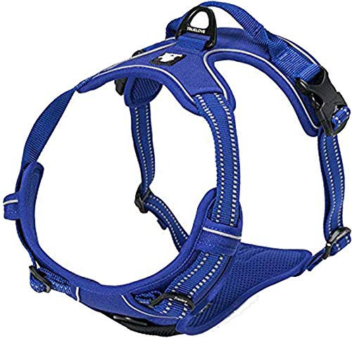 Truelove Hundegeschirr TLH5651, verhindert Zerren, reflektierende Nähte Sorgen für Sichtbarkeit in der Nacht, für Abenteuer im Freien(S, Königsblau)