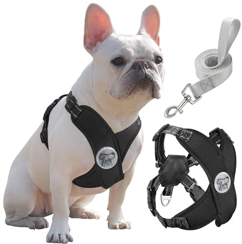 Pawaboo Hundegeschirr mit Hundeleine Set, X-Rahmen Verstellbares Anti Zug Anti-Erstickung Hund Brustgeschirr für Kleine, Mittelgroße Hunde & Welpen, Atmungsaktive Hundeweste mit Leine (L, Schwarz)