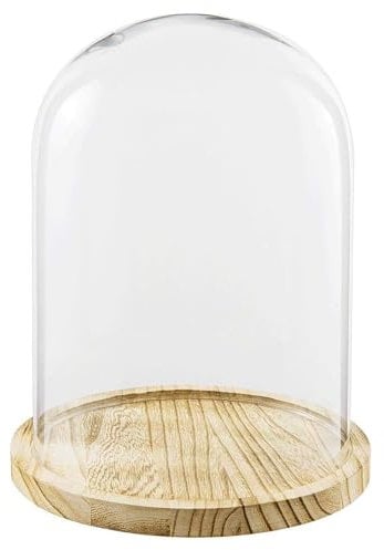 PALUPLUS Campana in Vetro con Base in Legno, Misura 25x36 cm, Teca in Vetro Trasparente, Espositore per oggetti, composizioni floreali e luci, oggetto decorativo per la tua casa -7710M