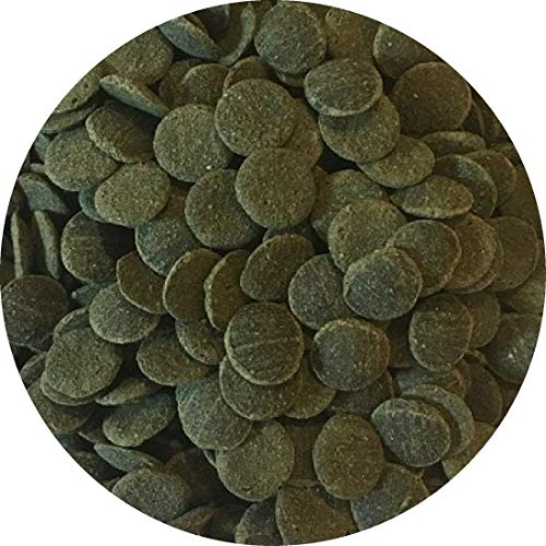 Fischfutter Futtertabletten Wafer MINI Spirulina-Algen Wafers Welstabletten Ø1cm (1 l)
