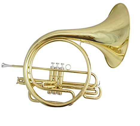 ALFAAL Kolben Waldhorn Bb Mit Koffer Und Mundstück Cupronickel Mundrohr B Flat Brass Waldhorn Musikinstrumente Althörner
