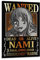 Anime One Piece Wanted Poster Nami Poster Malerei Leinwand Wandkunst Wohnzimmer Poster Malerei 20 x 30 cm