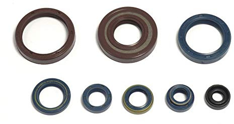 Athena P400220400128 Wellendichtringsatz Motor
