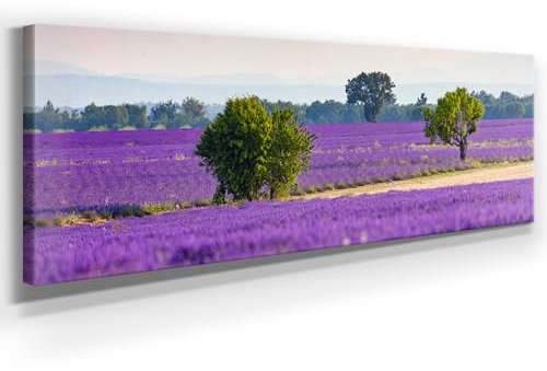 Panorama Leinwand Lila Felder - als 150x50cm großes XXL Leinwandbild. Wandbild als Hintergrund und Deko für Wohnzimmer & Schlafzimmer. Aufgespannt auf Holzrahmen