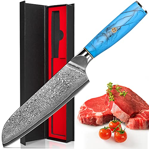 Santoku Knife, 17.5 cm Damascus Kitchen Knives, Made of 67 Layers of Vg-10 Damascus Steel, Ergonomic Natural Resin Blue Handle Cooking Knife for Home Restaurant, Gift Box