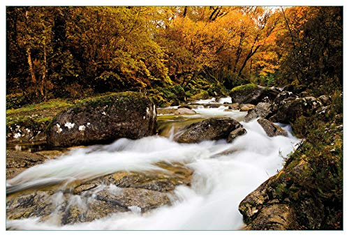 Wallario Küchenrückwand selbstklebend 90 x 60 cm, Motiv: Fließender Bach im Herbstwald | Spritzschutz abwischbar & pflegeleicht
