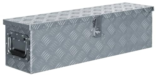 vidaXL Boîte en Aluminium Argenté Outils Caisse à Outils Coffre de Rangement
