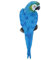 Broco Deko, Harz Naturgetreue Vogel Ornament Figurine Parrot Modell Spielzeug Garten-Skulptur-Wand-Dekor (blau Links)