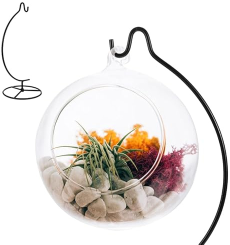 Alipis 2 Stück Hydroponische Vasenständer Aus Eisen Spiral-Design Ornamentständer Für Glaskugel-Terrarium Hängende Luftpflanzenhalter Tischdeko Und Wohnaccessoires 10.63 X 4.92 X 4.92 in