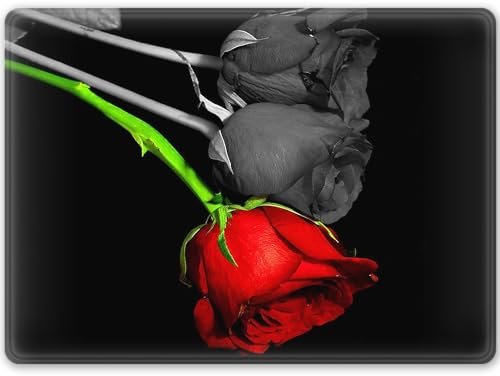 ShopQuality4U Premium Medium Glass Cutting Board Cheese Board Board Black & Red Rose Design Kitchen Worktop Saver Protector