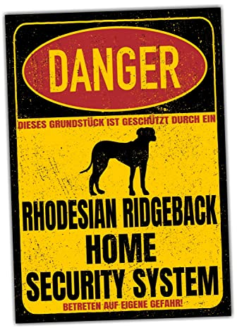 Rhodesian Ridgeback RR Schild Danger Security System Türschild Hundeschild Warnschild Hund Sicherheitsschild Hund Privatgrundstück Hundewarnung Warnung vor dem Hund