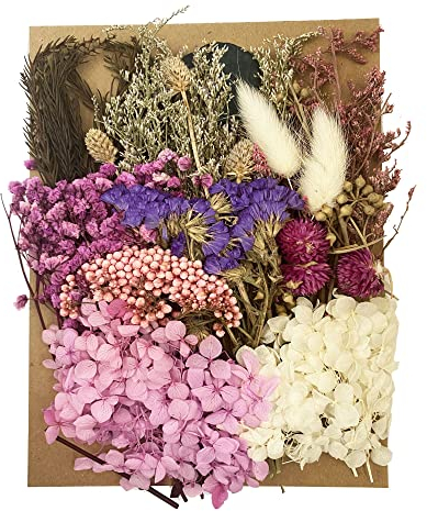 Cayway Natürlich Gepresste Getrocknete Blumen Natürlich Getrocknete Blätter Getrocknete Blumen Deko Gemischt für Harz Kerzen Nagel DIY Dekor, Lila Rosa Weiß