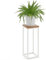 LAMO Manufaktur 50 cm Support Plantes | Piédéstal pour Plantes | Porte-plantes Interieur Cadre Blanc Gris | Plateau 100% Bois Massif Couleur: Foncé