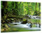 ARTTOR Wandbilder Dekoration Wohnzimmer Stream Wald Natur Bilder auf Glas 120x80cm Glasbild Schlafzimmer Küche Deko Wand Kunstdruck Art Groß XXL Wanddeko Bild im Glas Modern Wall Decor GAA120x80-0174