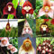 CUSHY Seeds: 100 Stück 10 Arten Nette AFFE-Gesicht Orchid Bonsai AFFE Orchid Bonsai Pflanzen Blumen Bonsai Für Hausgarten: Mix