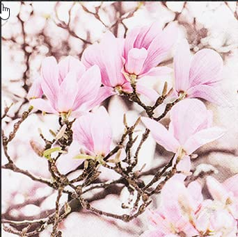 20 Servietten Bl?hende rosa Magnolien | Blumen | Frühling 33x33cm