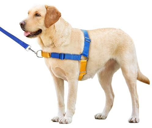 Mearrcgo No Pull Hundegeschirr mit Hundeleine, leicht zu kontrollieren, Walking-Geschirr für kleine, mittelgroße und große Hunde (S, Blau/Gelb)