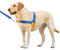 Mearrcgo No Pull Hundegeschirr mit Hundeleine, leicht zu kontrollieren, Walking-Geschirr für kleine, mittelgroße und große Hunde (S, Blau/Gelb)