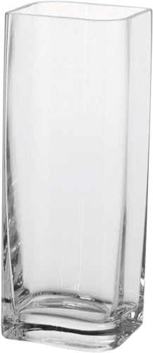 DRERIO Vase Transparent 30 cm Hauteur, Moderne Fait à la Main Decoratif Haut Grand Salon Vase de Fleurs en Cristal pour Lucky Bambou (30 x 10 cm)
