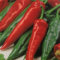 Numex Big Jim Peperoncino 30 semi - 12 Lungenbläschen!
