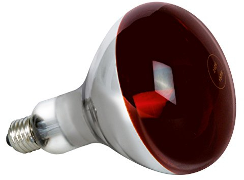 Infrarotlampe E 27, R 125, 150 Watt (Heizstrahler, bei dem die aufgenommene Leistung in Infrarotst)