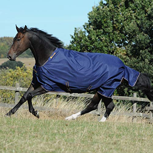 Bucas Irish Turnout Light/50 Classic, Weidedecke Rückenlänge 145 cm, Navy/gold