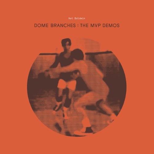 DOME BRANCHES: MVP DEMO
