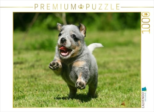 CALVENDO Puzzle EIN Motiv aus dem Kalender Australian Cattle Dog Welpen | 1000 Teile Lege-Größe 64 x 48 cm Foto-Puzzle für glückliche Stunden