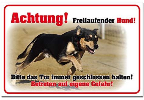 Hinweisschild Achtung freilaufender Hund Gefahr Gebäudeschutz Hartschaum 30 x 20 cm