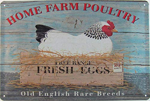 Targa in Metallo generica 30 x 20 cm Home Farm Poultry Cartello Eggs polli Uova Tin Sign