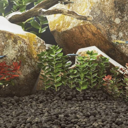 Xichuzi Lavagranulat 10 kg Schwarz 5-8 cm, Aquarium Deko, Aquarium Steine, Soil Aquarium - 155321
