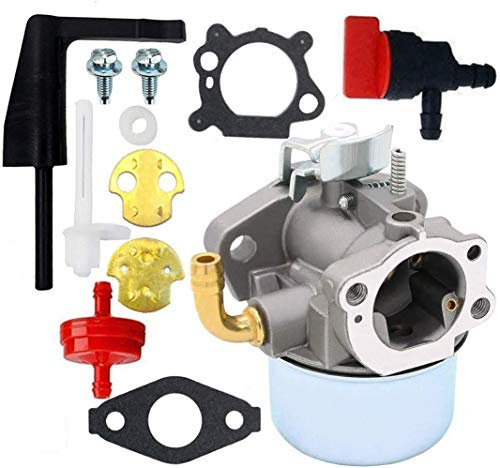 Ewillownm Compatible avec carburateur pour moteur Briggs Stratton Craftsman Tiller Intek 190 6 HP 206 5,5 hp