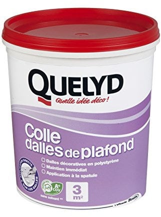 Quelyd Colle Dalles de Plafond Polystyrène – Colle en Pâte Prête à l'Emploi pour Dalles, Poutres, Moulures et Panneaux Isolants Légers – Intérieur – Sans Solvant – Blanc – Seau de 1 kg (3 m²)