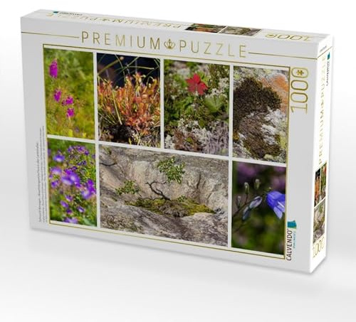 CALVENDO Puzzle Sehnsucht Norwegen - Abwechslungsreiche Flora in Allen Landschaften | 1000 Teile Lege-Größe 64 x 48 cm Foto-Puzzle für glückliche Stunden