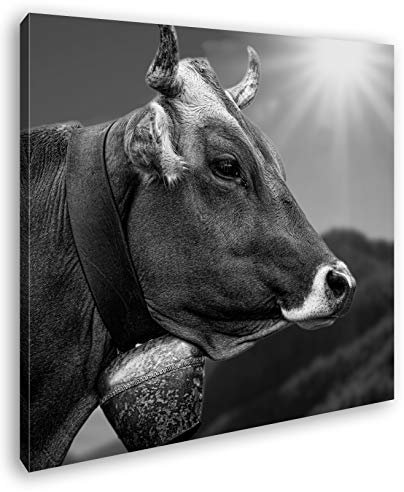 deyoli edle Alpen Kuh Format: 60x60 Effekt: Schwarz&Weiß als Leinwandbild, Motiv fertig gerahmt auf Echtholzrahmen, Hochwertiger Digitaldruck mit Rahmen, Kein Poster oder Plakat