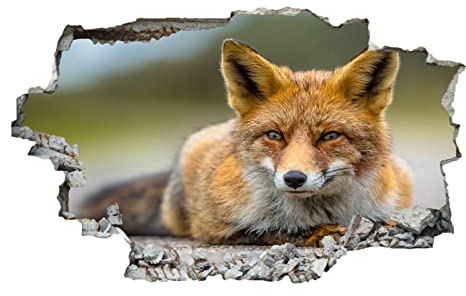 Fuchs Wandtattoo 3D Durchbruch Tier Wandsticker Wanddekoration selbstklebend Modern Abnehmbare Wandaufkleber Deko Schlafzimmer Wohnzimmer Kinderzimmer Kunst Wohnkultur Wandbilder