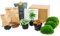 Paquete de terrario de Plantas - Espárragos - 3 Plantas de terrario - Paquete de Recarga y Inicio Terrario de Bricolaje - Mini Planta de ecosistema