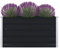 Xichuzi Hochbeet 100×100×45 cm Verzinkter Stahl Anthrazit, Palettenrahmen, Hochteich, Gemüsebeet, Kräuterregal Balkon, Blumenbeet, Kräuterspirale, Tomatenbeet, Pflanzhochbeet - 47024