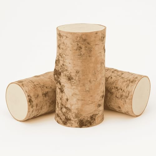 matches21 HOME & HOBBY Kleine Baumstämme Ø 5 x 10 cm - 3 STK. runde Birken-Holz Stämmchen als Natur-Material Holzdeko DIY Bastelmaterial