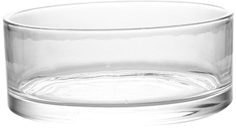 GLEAVI Pot de Fleurs en Verre Transparent 20x20x8 Cm, Vase Hydroponique pour Culture D’intérieur, Terrarium Décoratif en Verre pour Plantes Aquatiques, Grand Vase Jardinage Intérieur