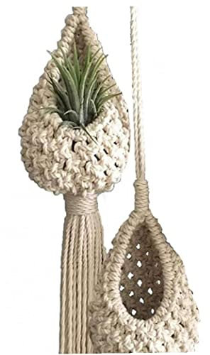 Zonster 2 x beige Makramee-Luftpflanzenhalter für Luftpflanzen, Mini-Sukkulenten und künstliche Pflanzen, Heimdekoration, Raumdekoration, Einheitsgröße