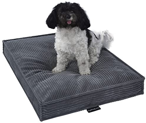 MyBestBuddy Hundekissen Visco grau 70x50 cm M mit POSO-Cord Stoff mit Viscoseschaum und Komfortschaum-Flocken, 40°C waschbar - Hundebett/Haustierbett für kleine Hunde, 70 x 50 cm