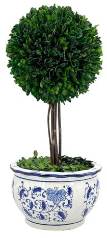 Galt International Natürlich konservierter Buchsbaum-Kugel-Formschnittbaum in handbemaltem blau-weißem Keramik-Topf, Übertopf – Europäisches Rokoko, Heimdekoration, klassische Chinoiserie – 48,3 cm