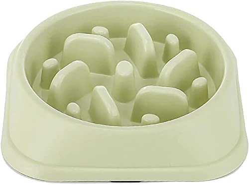 Txyk Gamelle d'alimentation Lente pour Chiens, Alimentation Ralentie et Interactive pour Les Animaux Bleu Durable de Cuvette d'eau de Boisson d'animal familier antidérapant (Verte)