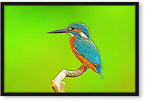 Pixxprint Eisvogel auf Ast, Poster im Bilderrahmen, Format: 100x70cm, Kunstdruck gerahmt