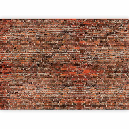 murando - Papier Peint Panoramique Intissé Salon, Brique, 350x256 cm | Fabrication EU, Tapisserie Murales Papier Peint, Revêtement Mural, Papiers Peints, Grand Poster Mural, Brique, Décoration