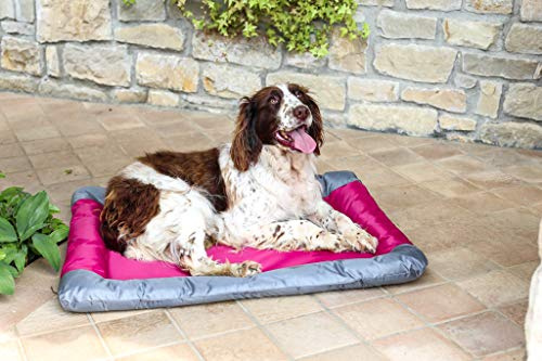 Italian Bed Linen Sogni e Capricci Pets, Tapis imperméable pour Chiens et Chats, Rose, 71x57 cm