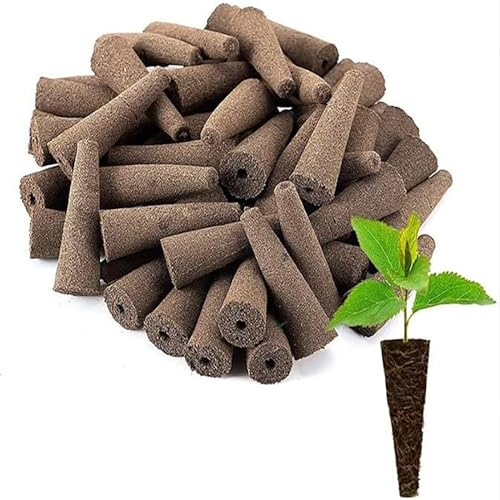 50 spugne di ricambio per coltivare, kit di avviamento per piantare spugne idroponiche per coltivare verdure, piante, fragole, fiori