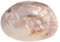 KONTONTY Plateau de rangement coquille garniture vaisselier décoration plat de bibelot de coquillage vide poche coquillage plateau à bijoux en coquillage